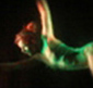 Emiliano Pellisari ballerino