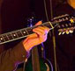 Mauro Pagani chitarra