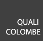 Quali Colombe