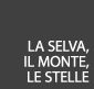 La selva, il monte, le stelle